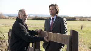 Острые клыки