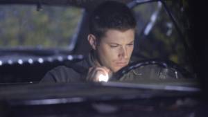 Фамильные останки