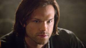 Проект «Вертер»