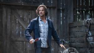 Жизнь продолжается